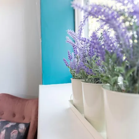 Ts1 Large With Private Parking Daire Middlesbrough